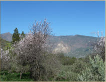 Casas Rurales Abuela Celia