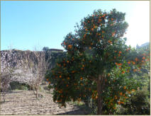 Casas Rurales La Abuela Celia