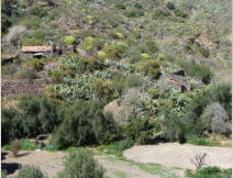 Casas Rurales La Abuela Celia